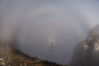 Glory, Brocken Spectre and Fog bow - how to make a meteorologist very happy!