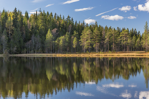 Autumn in Marka