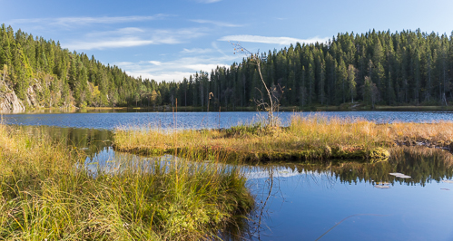 Skjennungen