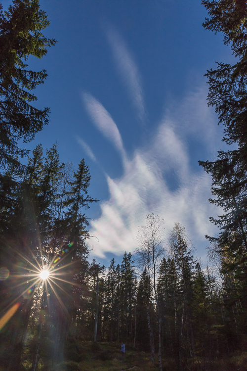 Cloud iridescence! Although not that visible in this photo...