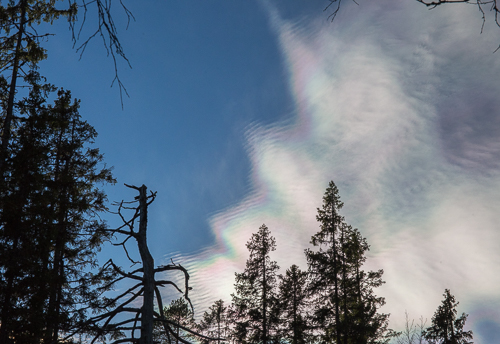 Zoomed in it's easier to see the cloud iridescence!