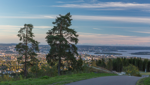 The view from the roller ski track