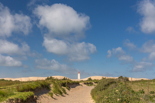 The sandy path leading to Rubjerg Knude Fyr (Lighthouse)