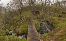 A pretty mountain stream and a cabin, just before I got back to the car