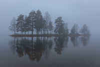 Foggy Sognsvann