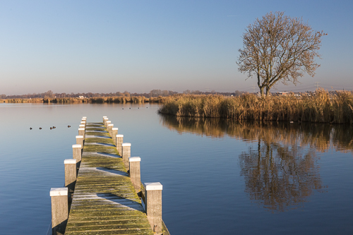 It was such a beautiful frosty day!