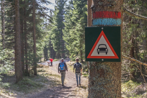 Surprising sign in the middle of the forest, but there was indeed a road nearby