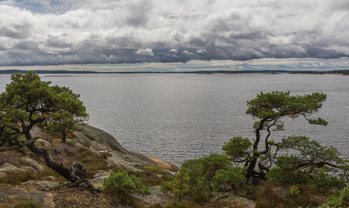 Cloudy views at the start of our walk