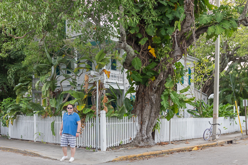 Fantastic houses in Key West