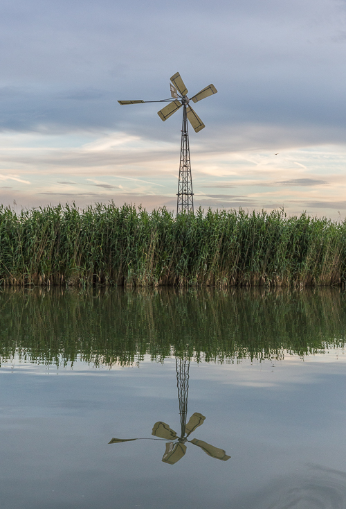 A reflected windmill