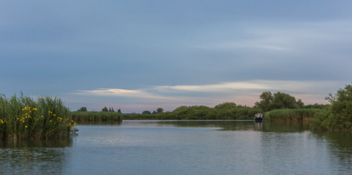 Soft evening colours