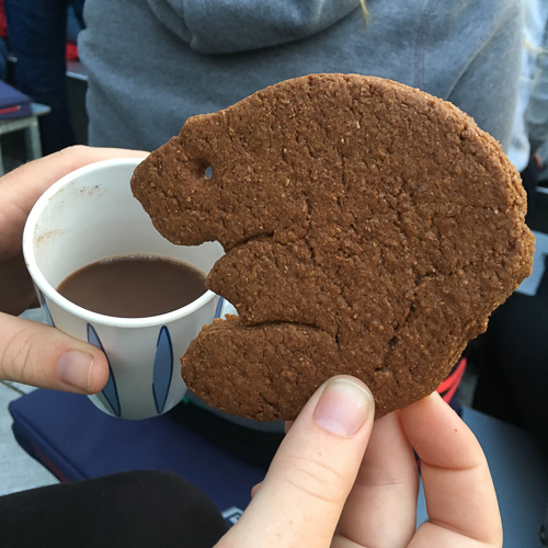 Cookies and hot chocolate - this beaver was easier to photograph than the real one!