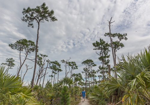 Going for a walk in National Key Deer Refuge