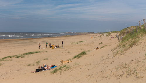 Relaxed Sunday afternoon at the beach