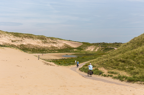 At this cycle path there is a sign that warns for dunes crossing the road ;)