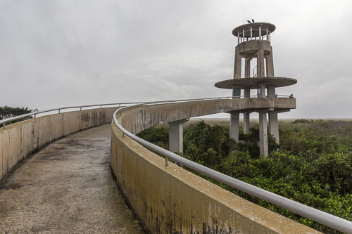 The Shark Valley Observation Tower