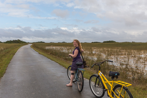 The road is only used by bikes and the occasional tourist tram