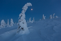 Darkness caught up with us on the way back to the cabin, but the deep blue landscape combined with a nearly full moon was magical!