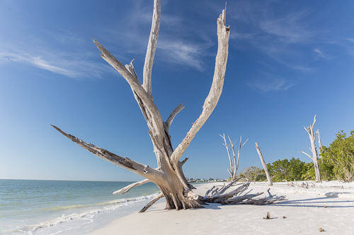 The Beach at Lovers Key State Park