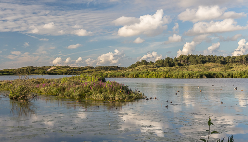 Het Vogelmeer, or bird lake, on a really nice evening