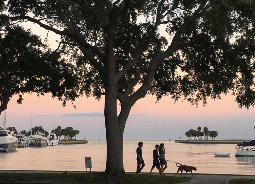 Sunset view in relaxed St Pete