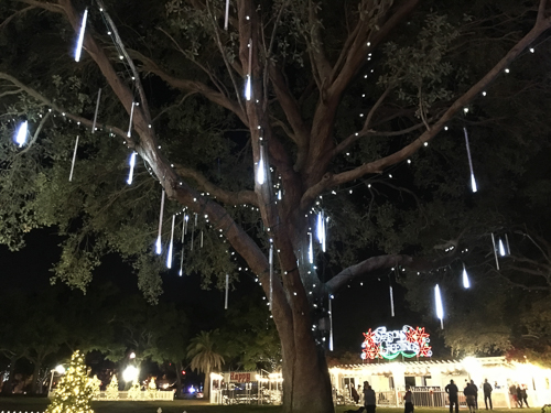 Christmas decorations and even some sort of ice rink in St Pete