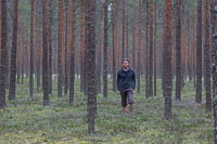 Paul in the ethereal forest
