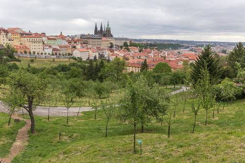 Nice green views over Prague