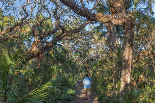 Going for a walk in Canaveral National Seashore