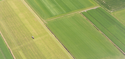 Farmer at work