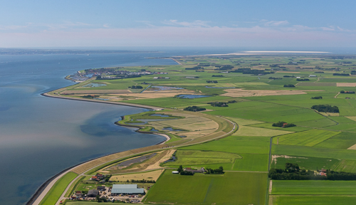 Texel