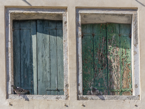 Old window & pigeons