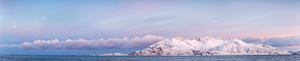 A panorama of Vengsøya in the pretty light