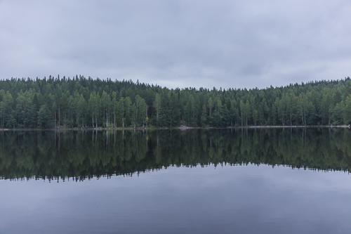 Mirror reflections in the evening - we saw a beaver and a loon family that evening