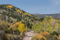 We took a different road out of the valley, and the landscape quite suddenly turned into a beautiful autumn forest... quite strange after coming straight from the desert!