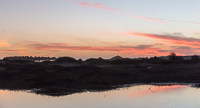 Sunset colours in the dunes