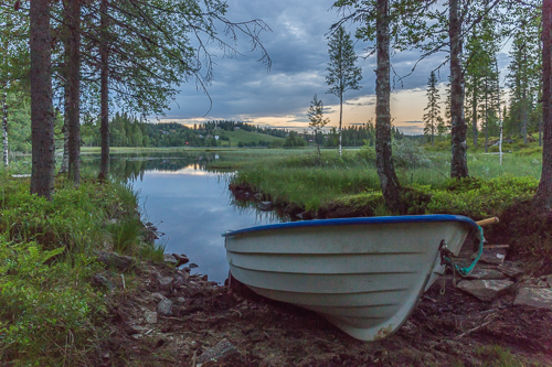 A rowing boat in the forest