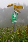 One of the many signs on the path, it's hard to get lost in Switzerland