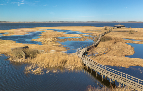 View from Naturum over the boardwalks and bird hides