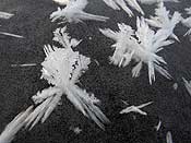 Very beautiful ice crystals!