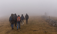 Hiking into the fog