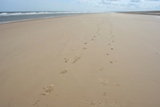 Blakeney Point