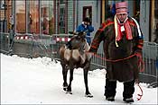 Reindeer Races Tromso 2008