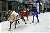 Reindeer Races Tromso 2008