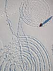 Our snow circles from above, the messy trail is from some guy with his dog